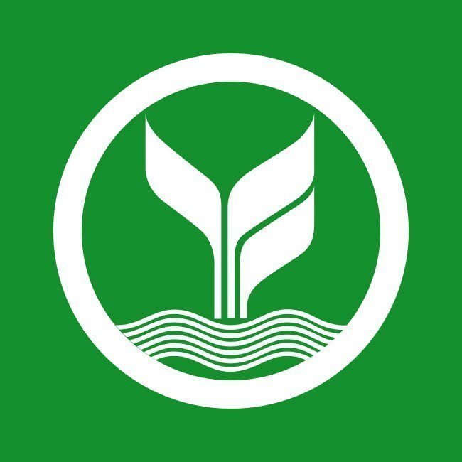 MAJORWINZ